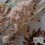 Bột gạo lứt sống