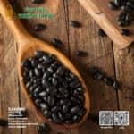 Đậu đen xanh lòng