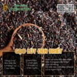 Gạo lứt đen 6 tháng Briet