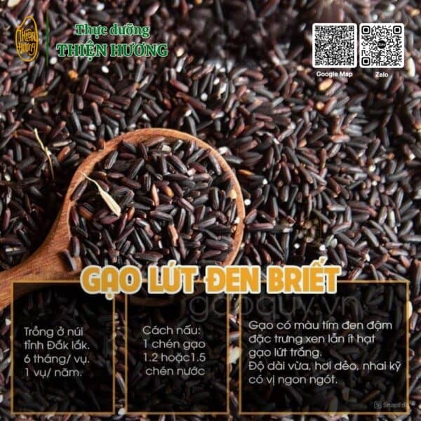 Gạo lứt đen 6 tháng Briet