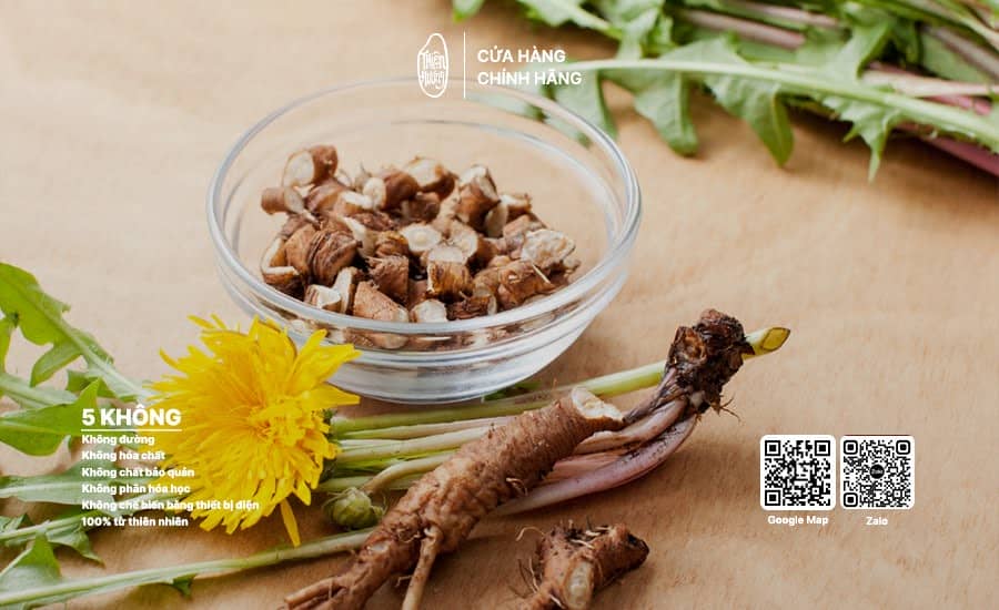 Trà bồ công anh 3 Trà bồ công anh