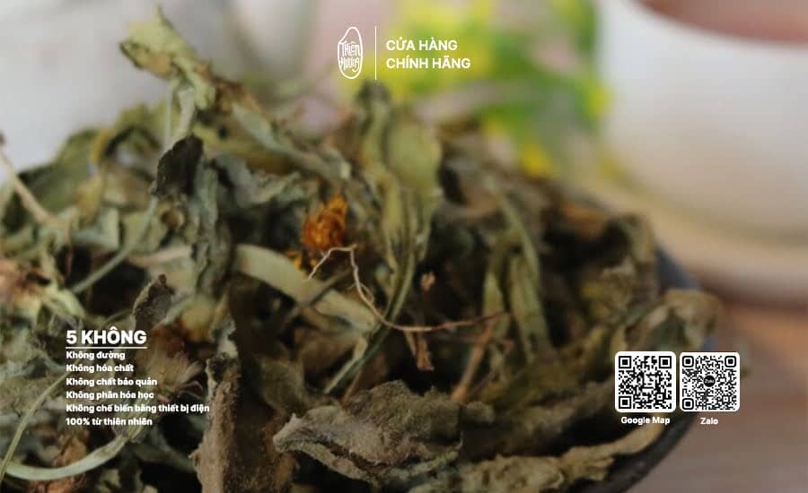 Trà bồ công anh 4 Trà bồ công anh