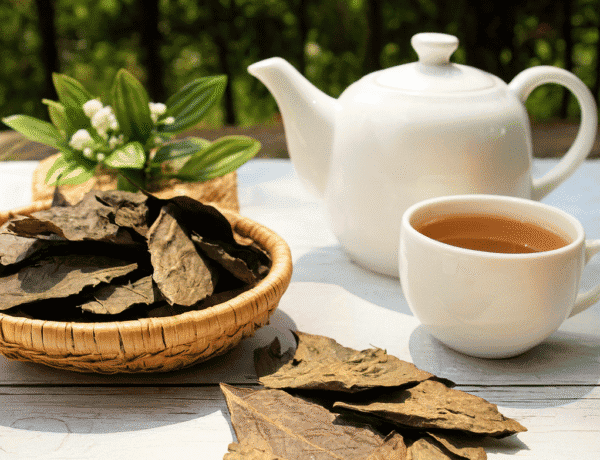 Bình trà thêm (Trà gạo lứt, đậu đỏ, Bancha lá)