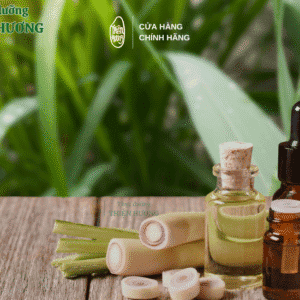 Mỹ phẩm thiên nhiên