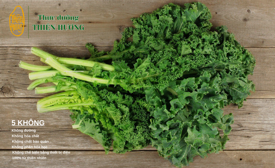 Thực phẩm dinh dưỡng nâng tầm sức khỏe bền vững 2 Cải xoăn