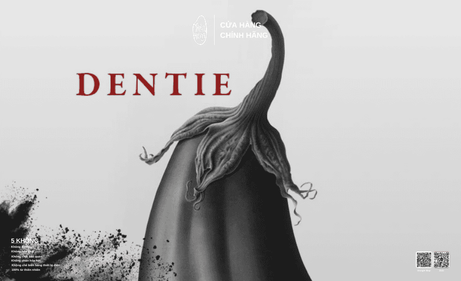 Dentie là sản phẩm được chế biến từ cuống cà tím lâu năm