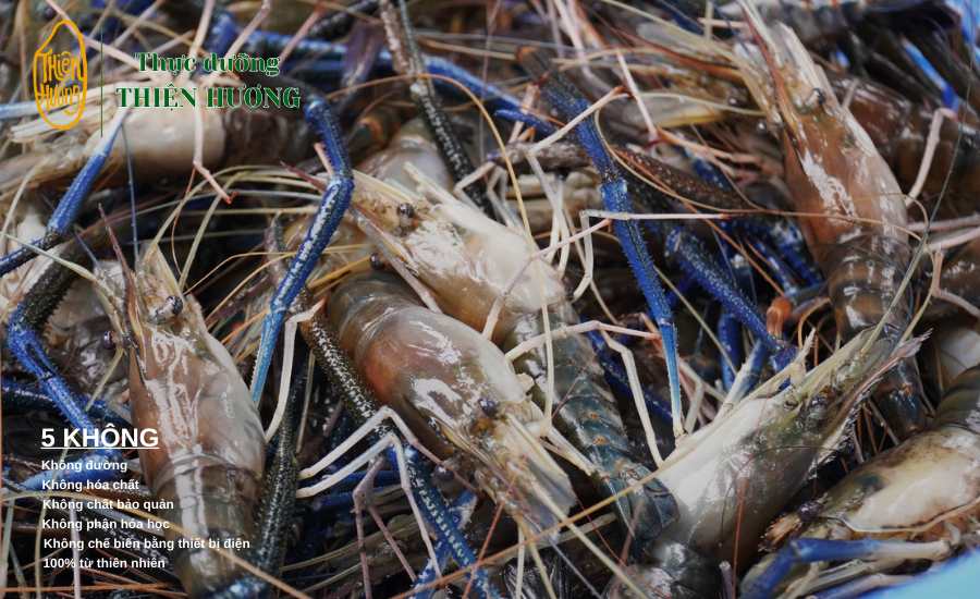 Thực phẩm dinh dưỡng nâng tầm sức khỏe bền vững 5 Tôm chứa nhiều omega-3 và vitamin tốt cho cơ thể