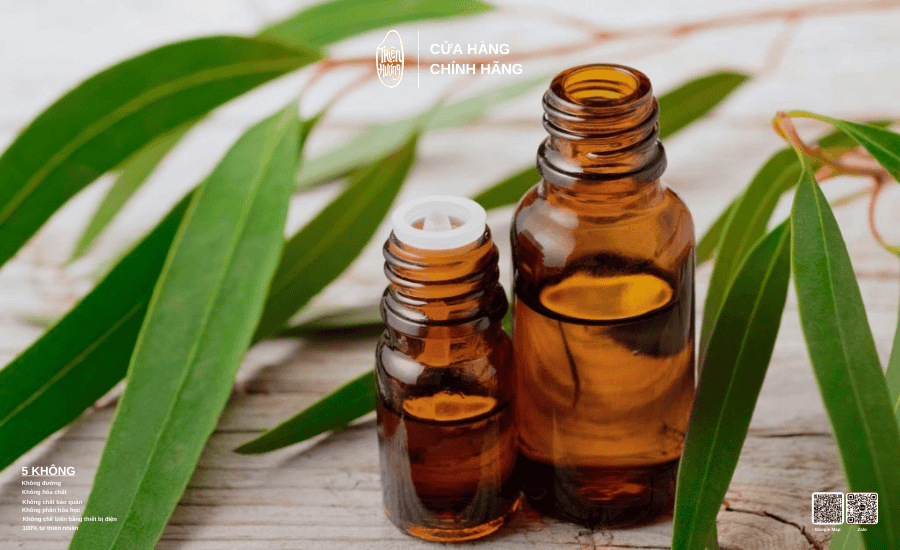 Tinh dầu khuynh diệp