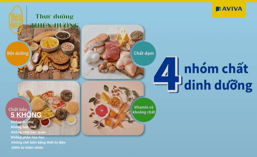 4 nhóm thực phẩm dinh dưỡng là nền tảng để xây dựng cho một cơ thể khoẻ mạnh