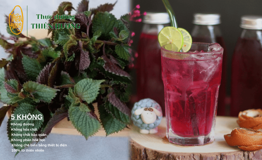 Thực dưỡng lá tía tô và cách sử dụng đúng 3 Nước lá tía tô