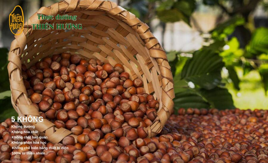 Dinh dưỡng trong các loại hạt và lợi ích cho sức khỏe 5 Hạt phỉ