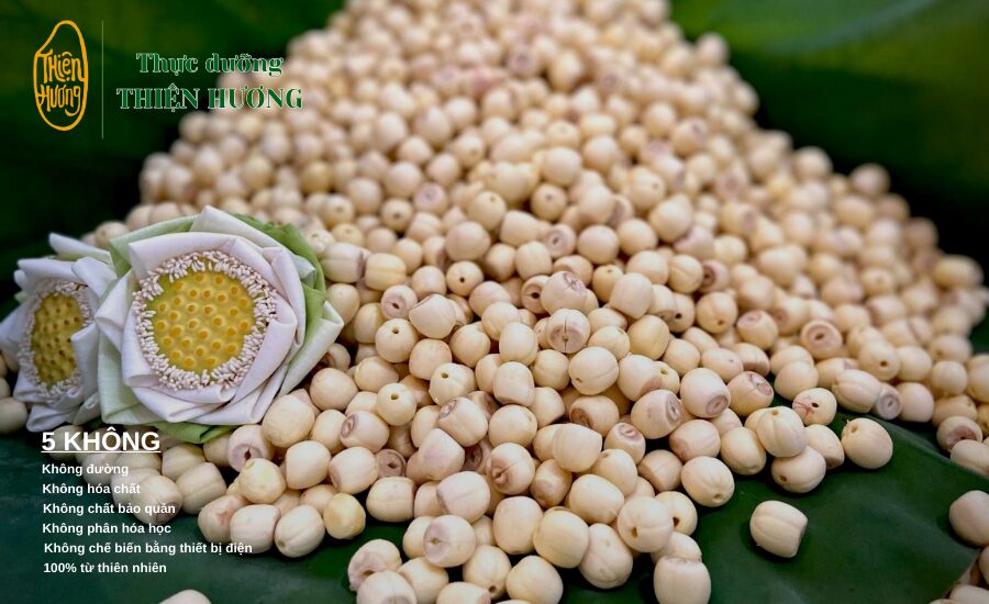 Thành Phần Dinh Dưỡng Trong Hạt Sen Và Những Lợi Ích Tốt Cho Sức Khoẻ 1 Hạt sen sấy khô