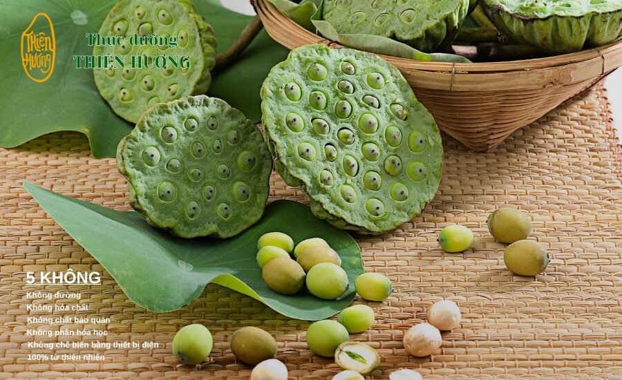 Thành Phần Dinh Dưỡng Trong Hạt Sen Và Những Lợi Ích Tốt Cho Sức Khoẻ 2 Hạt sen chứa nhiều dưỡng chất đa dạng giúp ổn định năng lượng cơ thể và hạn chế tình trạng tăng đường huyết