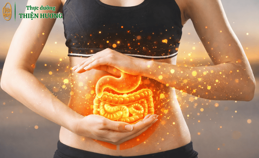 7 Lợi Ích Thành Phần Dinh Dưỡng Hạt Sen Đối Với Sức hỏe 4 Thành phần dinh dưỡng hạt sen: Hỗ trợ hệ tiêu hóa giúp chất xơ tự nhiên